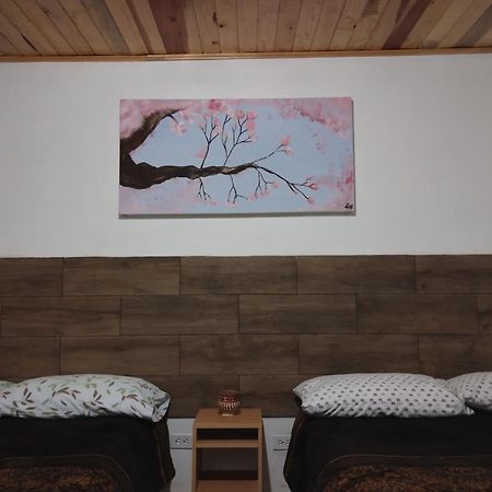 Cabana La Camelia Creel Exteriör bild